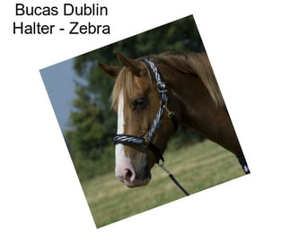 Bucas Dublin Halter - Zebra