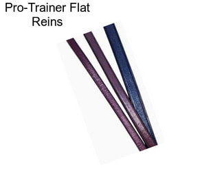Pro-Trainer Flat Reins