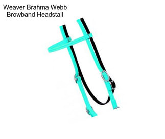 Weaver Brahma Webb Browband Headstall