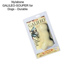 Nylabone GALILEO-SOUPER for Dogs - Durable