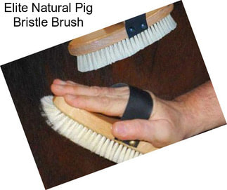 Elite Natural Pig Bristle Brush