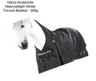 Horze Avalanche Heavyweight Winter Turnout Blanket - 300g