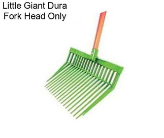 Little Giant Dura Fork Head Only