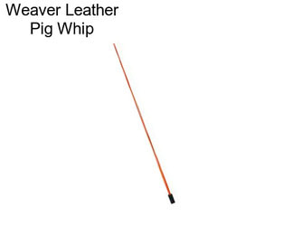 Weaver Leather Pig Whip