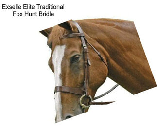 Exselle Elite Traditional Fox Hunt Bridle