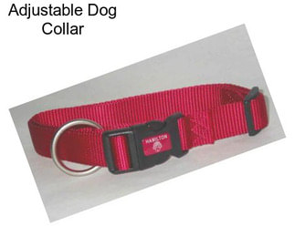 Adjustable Dog Collar