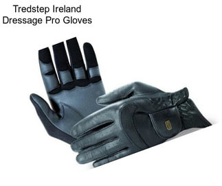 Tredstep Ireland Dressage Pro Gloves