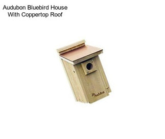 Audubon Bluebird House With Coppertop Roof