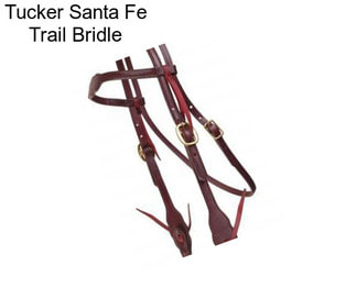 Tucker Santa Fe Trail Bridle