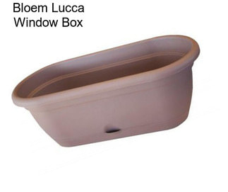 Bloem Lucca Window Box