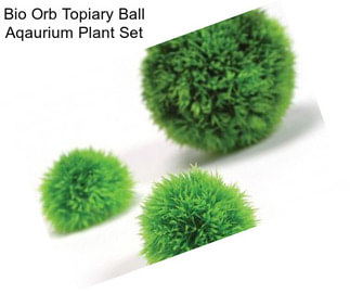 Bio Orb Topiary Ball Aqaurium Plant Set