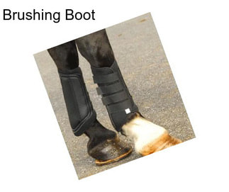 Brushing Boot