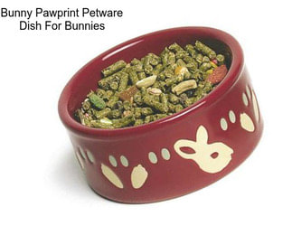 Bunny Pawprint Petware Dish For Bunnies