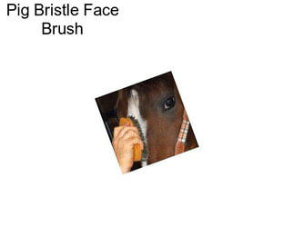 Pig Bristle Face Brush