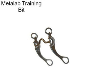 Metalab Training Bit