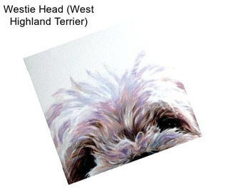 Westie Head (West Highland Terrier)
