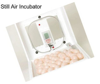 Still Air Incubator