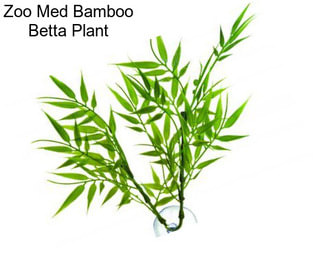 Zoo Med Bamboo Betta Plant