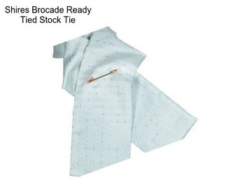 Shires Brocade Ready Tied Stock Tie