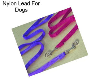 Nylon Lead For Dogs