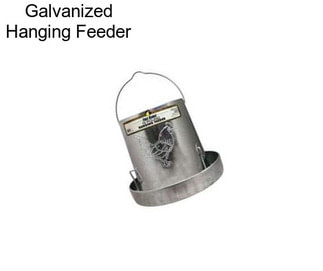 Galvanized Hanging Feeder