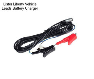 Lister Liberty Vehicle Leads Battery Charger