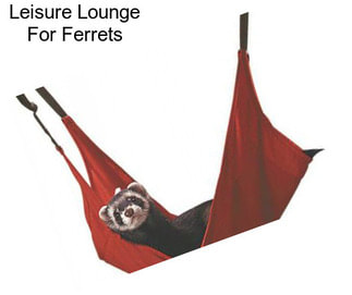 Leisure Lounge For Ferrets