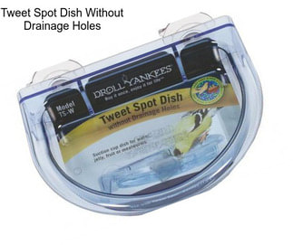 Tweet Spot Dish Without Drainage Holes