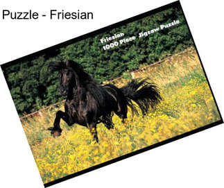 Puzzle - Friesian