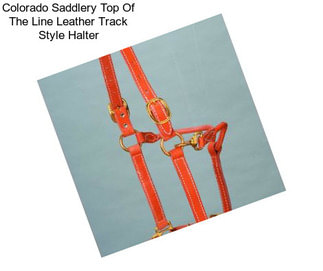 Colorado Saddlery Top Of The Line Leather Track Style Halter