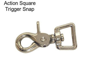 Action Square Trigger Snap