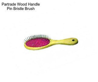 Partrade Wood Handle Pin Bristle Brush