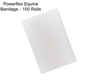 Powerflex Equine Bandage - 100 Rolls