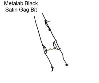 Metalab Black Satin Gag Bit