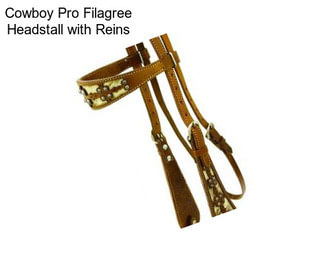 Cowboy Pro Filagree Headstall with Reins