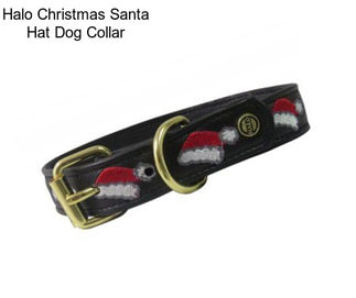 Halo Christmas Santa Hat Dog Collar