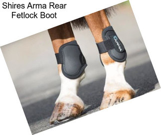 Shires Arma Rear Fetlock Boot