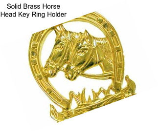 Solid Brass Horse Head Key Ring Holder