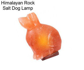 Himalayan Rock Salt Dog Lamp
