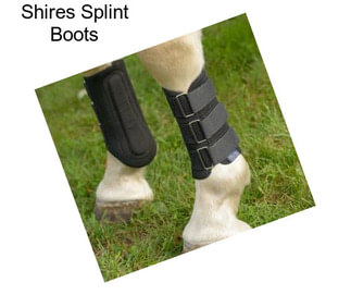 Shires Splint Boots