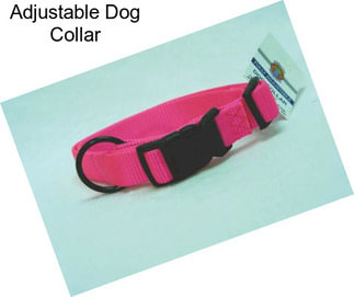 Adjustable Dog Collar