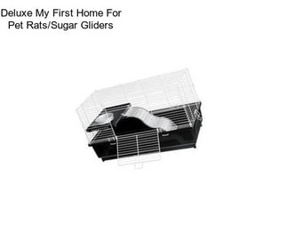 Deluxe My First Home For Pet Rats/Sugar Gliders