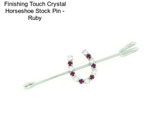 Finishing Touch Crystal Horseshoe Stock Pin - Ruby