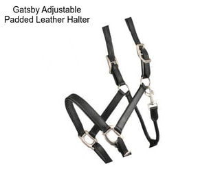 Gatsby Adjustable Padded Leather Halter