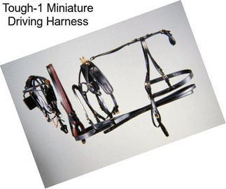 Tough-1 Miniature Driving Harness