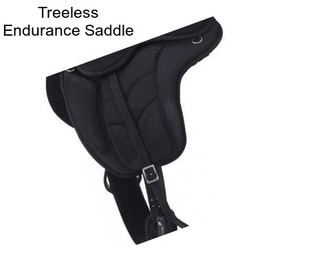 Treeless Endurance Saddle