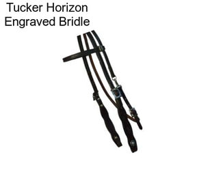 Tucker Horizon Engraved Bridle