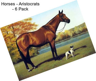 Horses - Aristocrats - 6 Pack