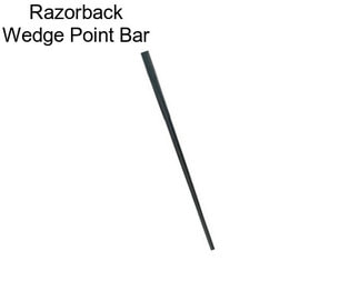 Razorback Wedge Point Bar