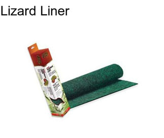 Lizard Liner